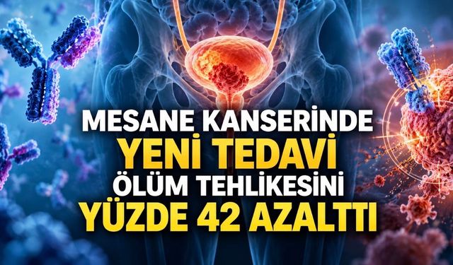 VOLGA Faz 3: Durvalumab ve Enfortumab Vedotin Mesane Kanserinde Sağkalımı İyileştirdi