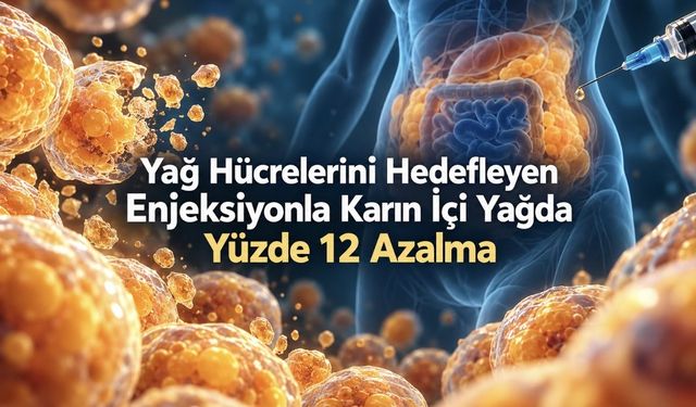 Yağ hücrelerini hedefleyen deneysel enjeksiyon, karın içi yağda yüzde 12 azalma sağladı