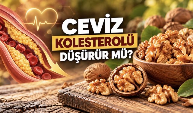Cevizin Faydaları Nelerdir? Kolesterolü Düşürür mü?