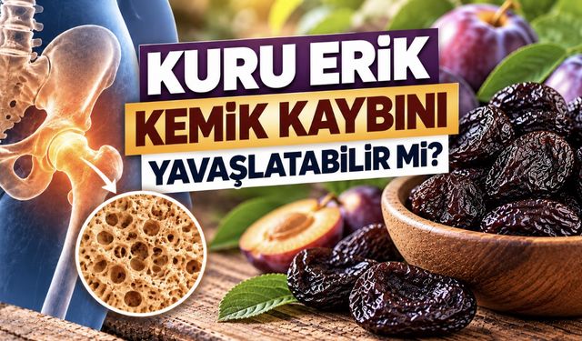 Kuru Erik Kemik Kaybını Yavaşlatır mı? 235 Kadınla Yapılan Araştırma