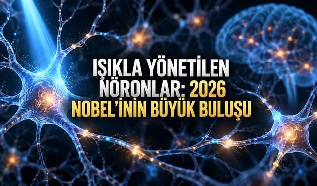 2026 Nobel Tıp Ödülü Optogenetiğe: Sinir Hücrelerini Işıkla Kontrol Eden Teknoloji Tıbbı Nasıl Değiştirebilir?