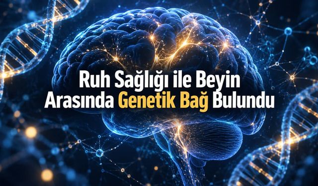 Ruh Sağlığıyla İlişkili Beyin Örüntülerinde 45 Genetik Varyant Bulundu