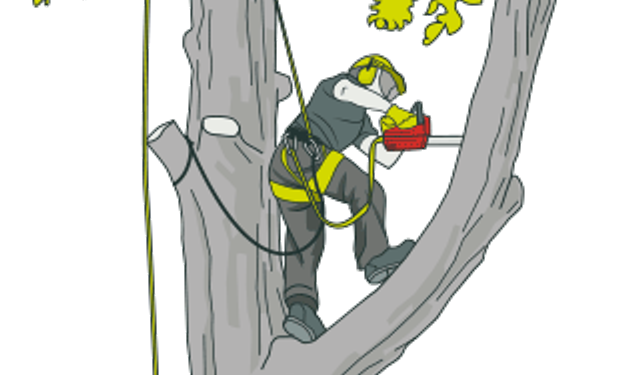 Kıbrıs’ta İş Kazası: Halil Akar Hayatını Kaybetti, 3 Kişi Tutuklandı