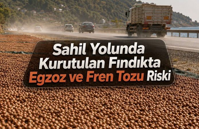 Karadeniz Sahil Yolunda Kurutulan Fındıkta Egzoz ve Fren Tozu Riski