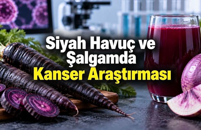 Şalgam Suyu ve Siyah Havuç Kanser Hücrelerini Azaltır mı? Araştırmalar Ne Gösteriyor?