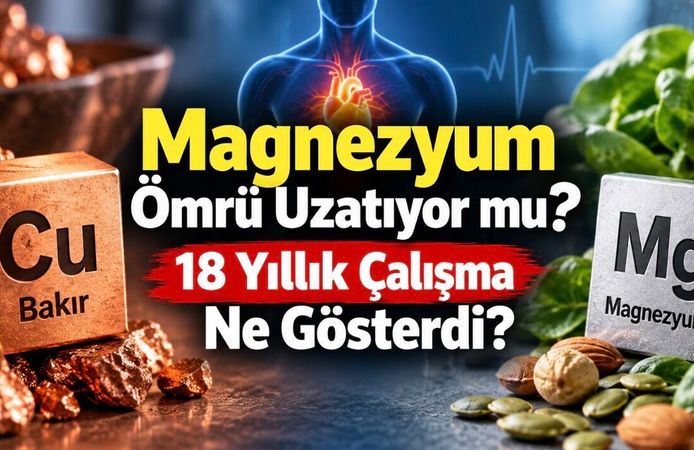 Kandaki yüksek bakır ve düşük magnezyum ölüm riskiyle ilişkili bulundu: 18 yıllık çalışma ne gösterdi?