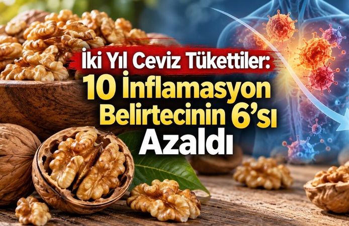 Ceviz Yaşlanmayı Yavaşlatır mı? İnflamasyon, Telomer ve Kanser Bulguları