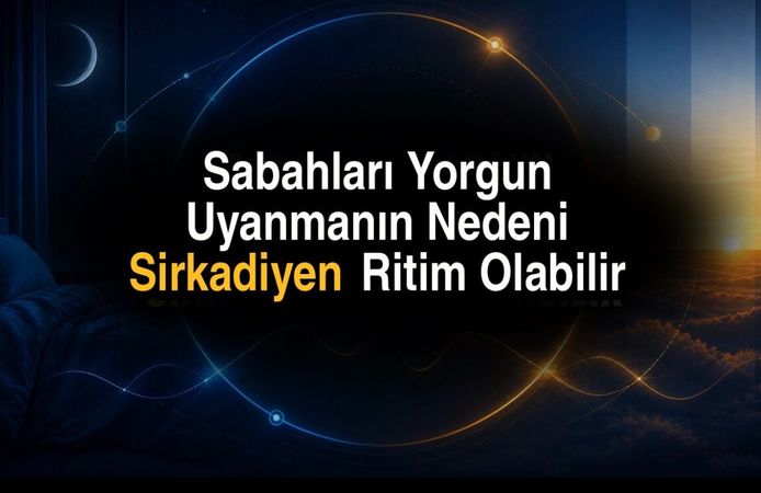 8 Saat Uyusanız da Yorgun Uyanıyorsanız Sirkadiyen Ritminiz Bozulmuş Olabilir