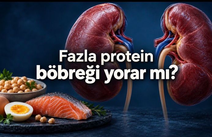 Yüksek protein böbreği yorar mı? Sağlıklı böbrekle hastalıklı böbreğin farkı