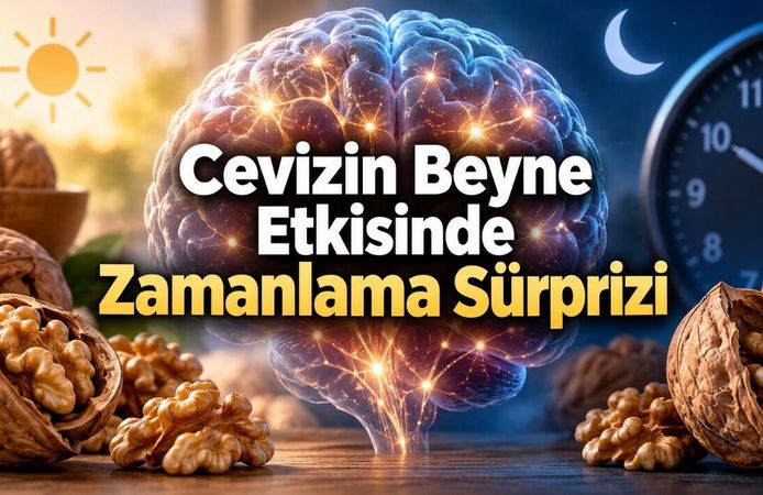 Cevizi Kahvaltıda Yemenin Beyin Üzerindeki Etkisi: 6 Saat Sonra Dikkat Çeken Sonuç