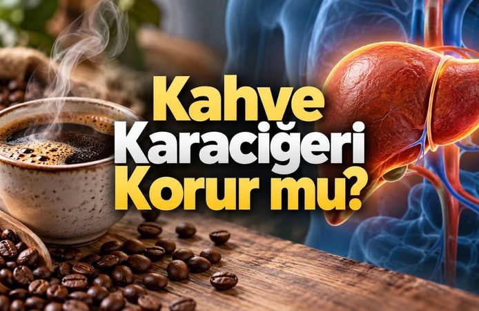 Kahve Karaciğere İyi Gelir mi? Yağlanma, Fibrozis ve Siroz İlişkisi