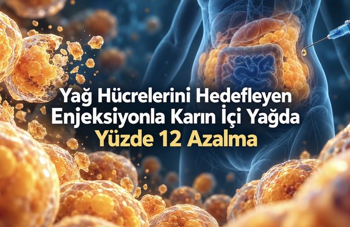 Yağ hücrelerini hedefleyen deneysel enjeksiyon, karın içi yağda yüzde 12 azalma sağladı