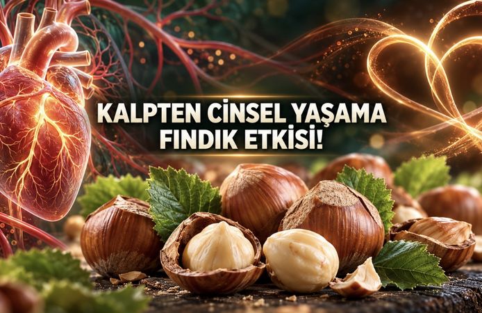 Kalp Sağlığından Cinsel Yaşama Fındığın Şaşırtan Faydaları