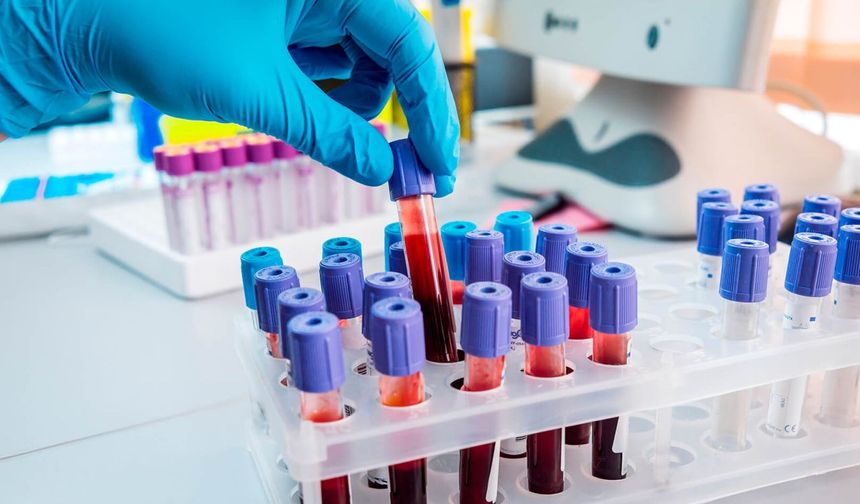 B12 Vitamini Yüksekliği ve Düşüklüğü Ne Anlama Gelir?