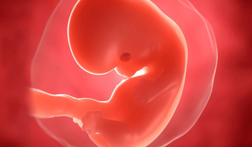 Gebelikte stres yaşayan annelerin çocuklarında ruhsal risk artıyor