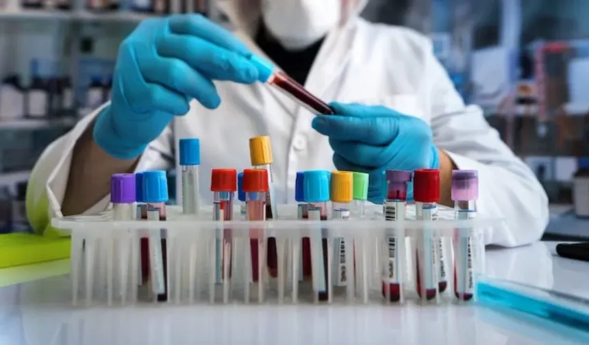 Kan Grubuna Göre Diyet Gerçekten İşe Yarıyor mu? Bilim Ne Diyor?