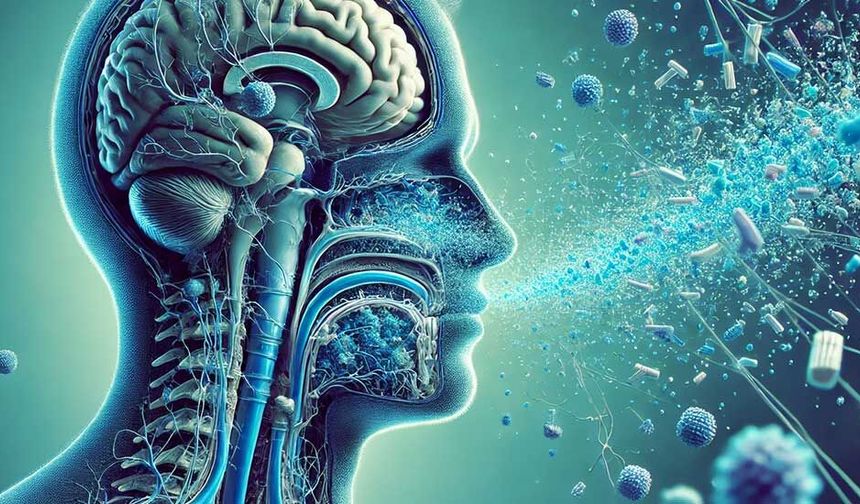 İçimiz Dışımız Mikroplastik: İnsan Vücudunda Birikmediği Yer Yok