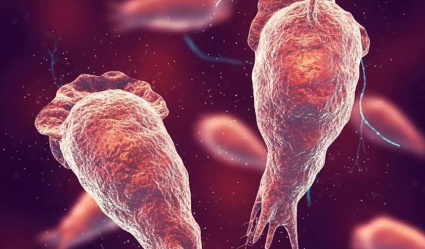 “Beyin yiyen amip” uyarısı: Uzmanlar sıcak sularda görünmez riske dikkat çekiyor