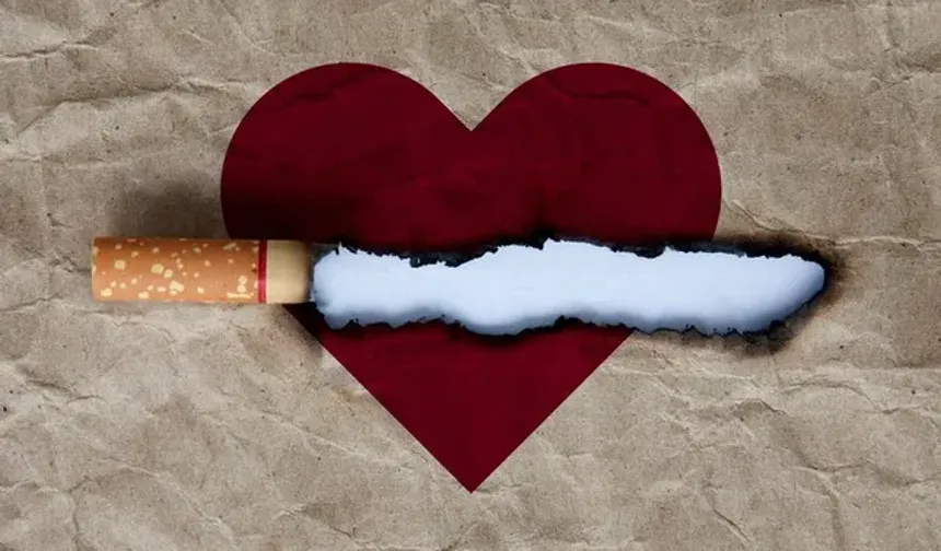 Nikotin yalnızca sigarada değil tüm ürünlerde kalbi zedeliyor: “Hiçbir form güvenli değil”