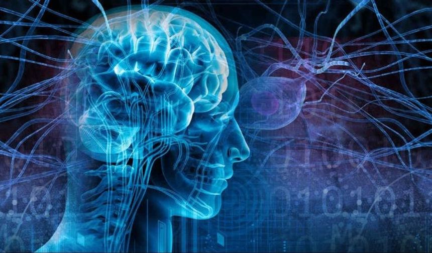 Epilepsi Tedavisinde Yeni Dönem: En Güncel Yaklaşımlar Bilimsel Çalışmalarla Şekilleniyor