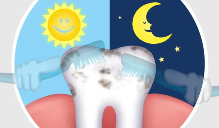 Gece Diş Fırçalamamak Ağızda İltihabı Artırabilir: Araştırmalar Sistemik Etkilere İşaret Ediyor