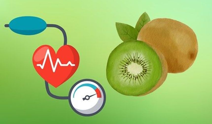 Günde 2 kivi Sindirim Konforunu Artırıyor