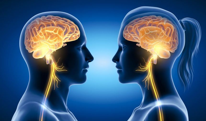 Erkek Terindeki Kimyasallar Kadınlarda Duygu Durumuyla İlişkili Bulundu