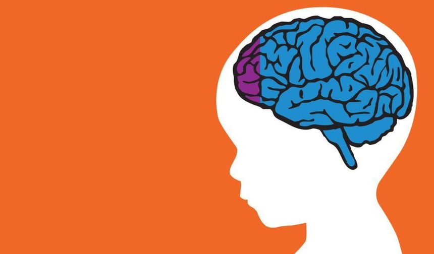 Otizm Nedir? Korunma, Tanı ve Güncel Tedavi Yöntemleri