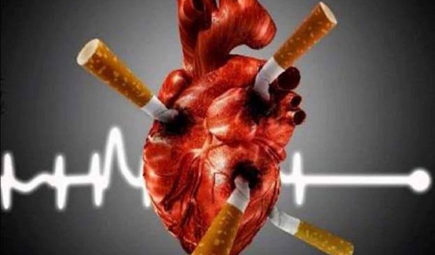 Bilim Kanıtladı: Sigara Vücudun Genetik Sinyallerini Bozuyor