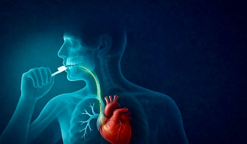 Gece Diş Fırçalamayanlar Dikkat: Risk Kalbe Kadar Uzanıyor