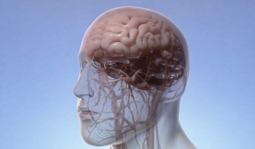 Migren Nedir? Belirtileri ve Yeni Tedaviler