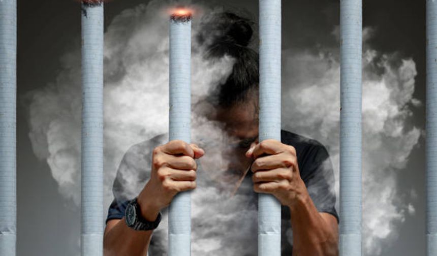 Prof. Dr. Cevdet Erdöl: “Ramazan, Tüm Bağımlılıklardan Kurtuluş İçin Bir Eşik”