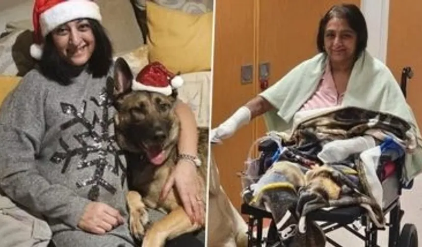 İngiltere’de Köpeğin Yaladığı Kadın Dört Uzuvunu Kaybetti