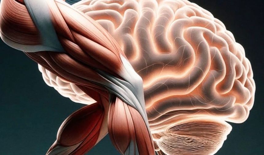 Güçlü Bacaklar Beyni Genç Tutuyor