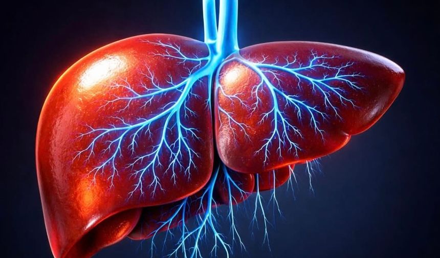 Şekersiz 9 Gün Metabolik Riskleri Geriletti