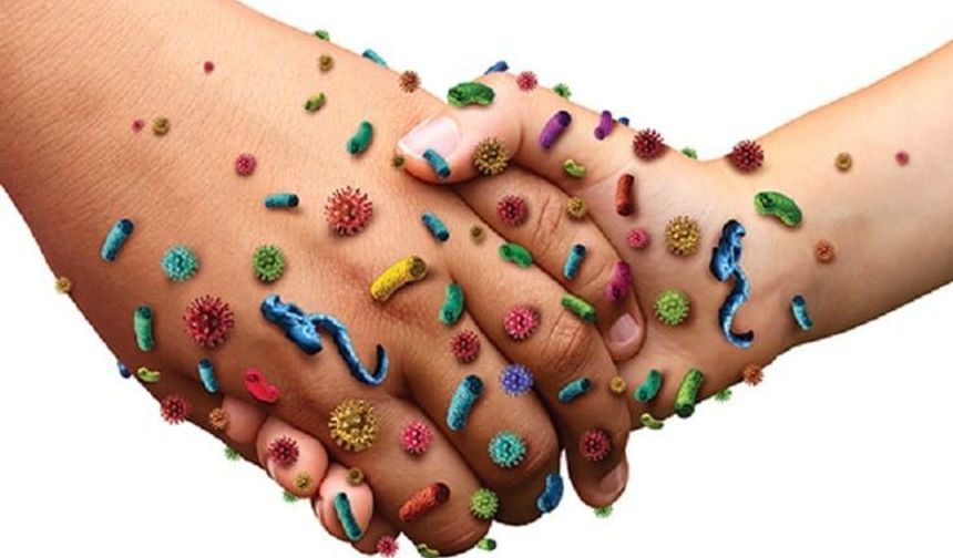 El Sıkışmadan Önce Düşünün: Grip Böyle Yayılıyor