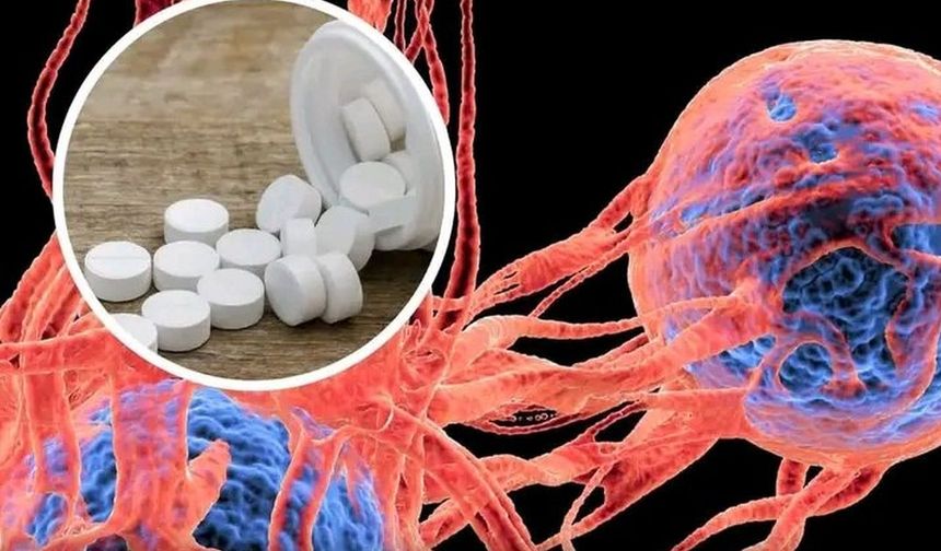 Farmakoloji Dergisinde Yayınlandı: Parazit İlacı Mebendazol Kolon Kanseri Hücrelerini Baskıladı