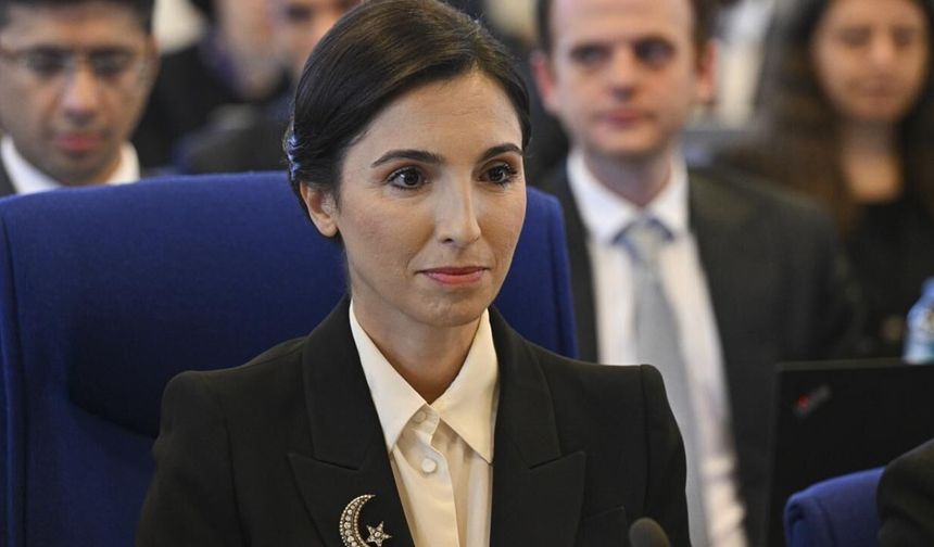 Hafize Gaye Erkan kimdir? Kariyeri ve yeni görevi