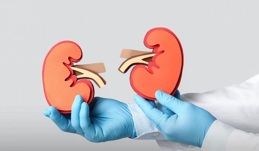 Böbrek Sağlığı İçin Hayati Uyarı: Bu Belirtileri Sakın Görmezden Gelmeyin