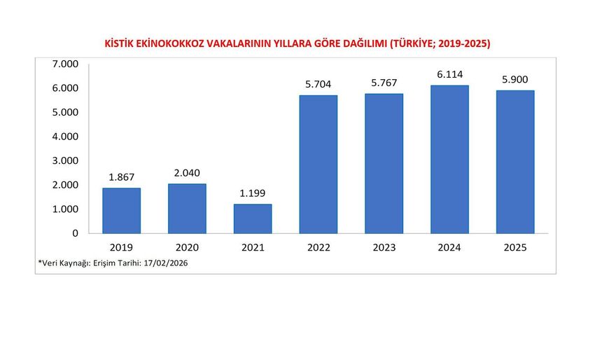 Uzmanlardan Kritik Uyarı: Kontrolsüz Köpekler Kist Hidatik Riskini Büyütüyor