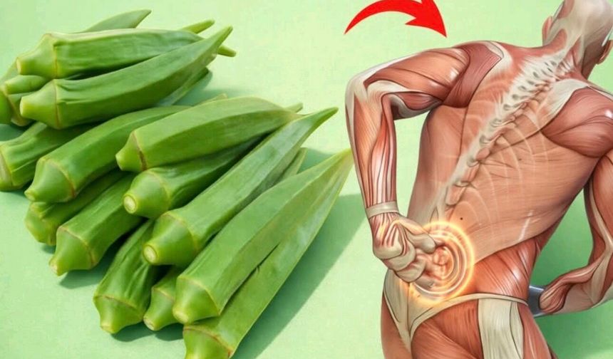 Bamya Mucizesi: 20 Faydasıyla Sofraların Sessiz Kahramanı