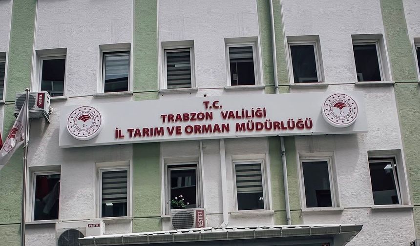 Trabzon’da Şok İddia: “Mobbing Yüzünden Ayrıldım”