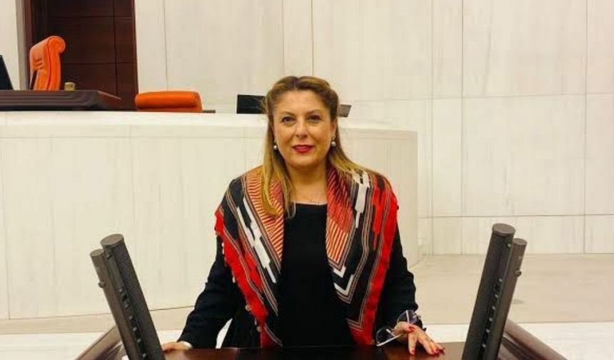 CHP Giresun Milletvekili Elvan Işık Gezmiş’ten Elif Tuana Torun Açıklaması