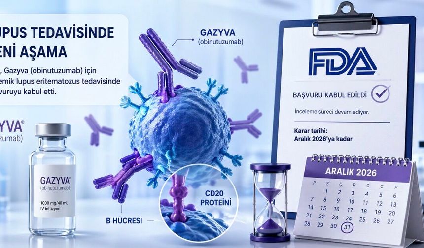 Lupus Tedavisinde Yeni Aşama: FDA, Gazyva Başvurusunu İncelemeye Aldı