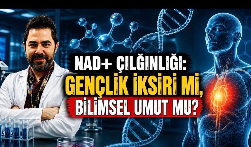 NAD+ Takviyeleri Gerçekten Yaşlanmayı Yavaşlatıyor mu?