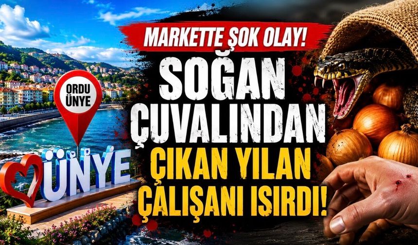 Markette Soğan Çuvalından Çıkan Yılan Çalışanı Isırdı