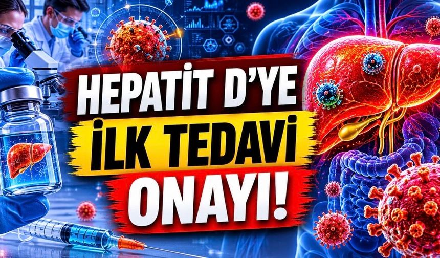 Hepatit D Tedavisinde Tarihi Onay: İlk İlaç ABD’de Kullanıma Girdi