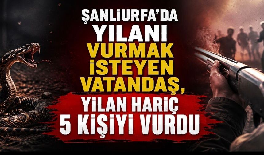 Şanlıurfa’da yılanı av tüfeğiyle vurmak isteyen vatandaş, yılan hariç 5 kişiyi vurdu