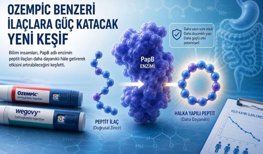Zayıflama İlaçlarında Yeni Dönem: Bilim İnsanları Etkiyi Artırabilecek Enzimi Buldu