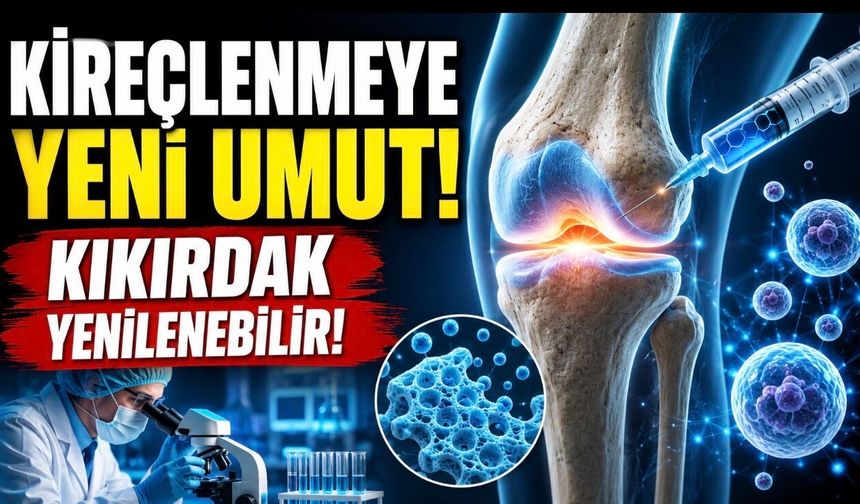 Osteoartritte Yeni Dönem: Kıkırdak Yenilenmesi İçin Rejeneratif Tedaviler Hız Kazandı